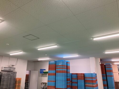 天井施工事例