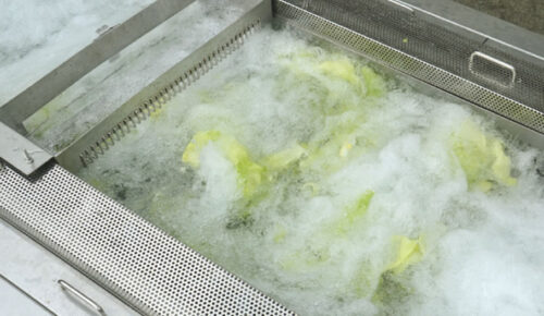 葉物野菜洗浄の様子